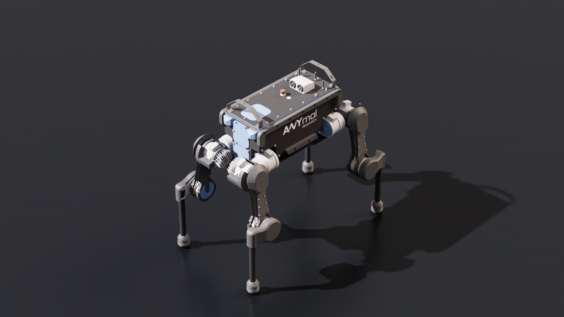 anymal_b Robot