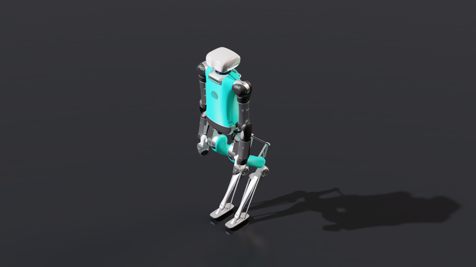 Digit Robot
