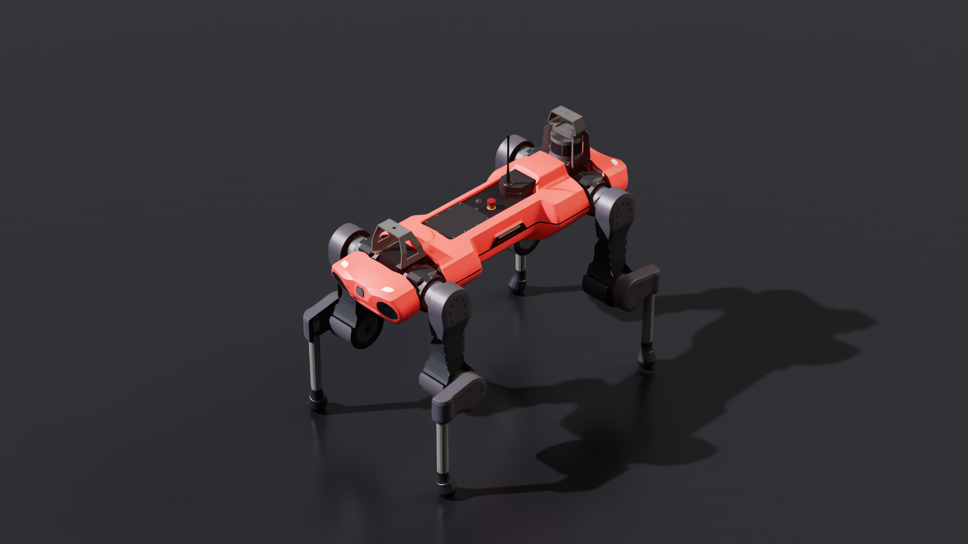 anymal_c Robot
