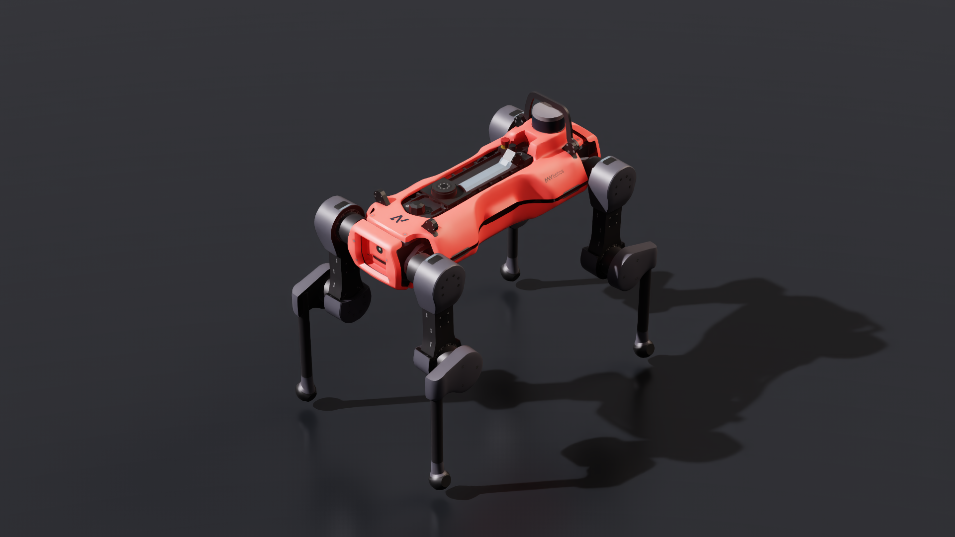 anymal_d Robot
