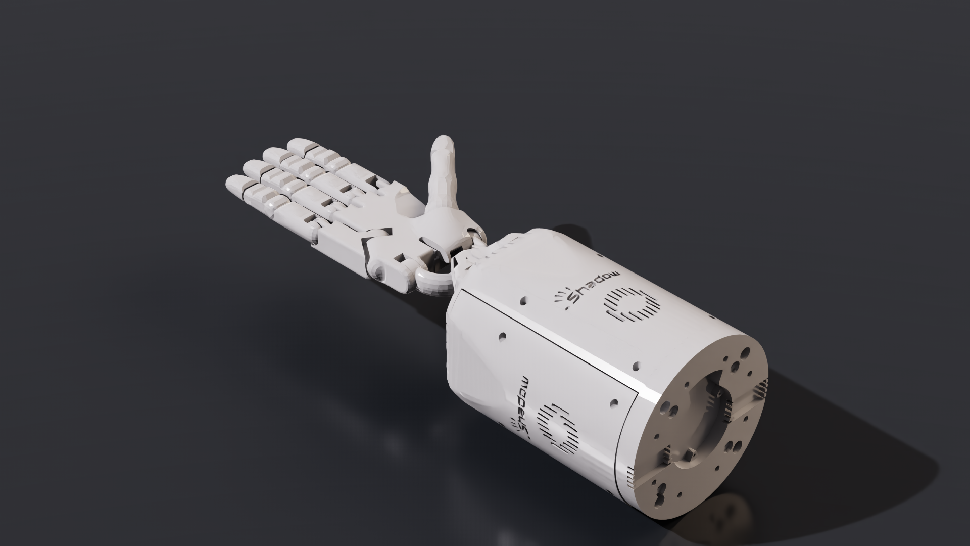 ShadowHand Robot Variant 2