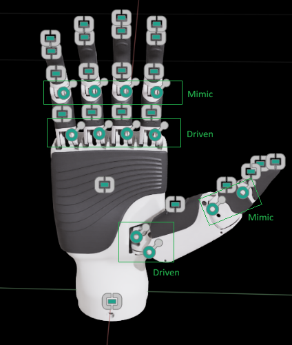Viewport with joint visualization enabled.
